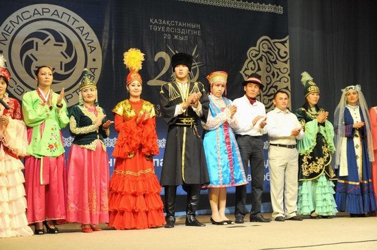 Tukli mushuklarda katta yaralar